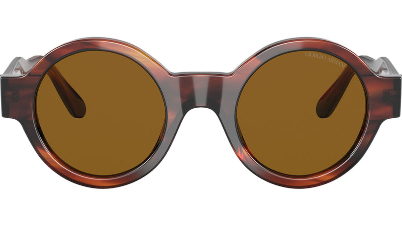 AR 903M 594433 Tortoise