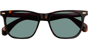 TAZI Classic Havana