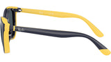 RY1631C 393787