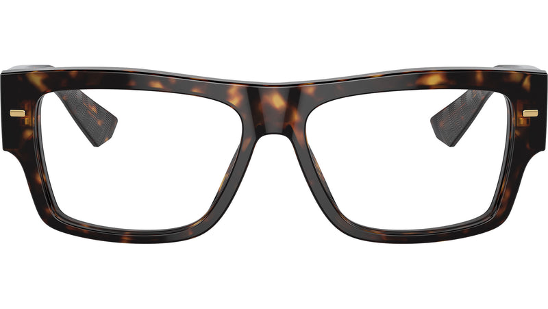 DG 3379 502 Tortoise