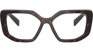 PR A04V 16N1O1 Tortoise