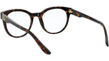 DG 3334 502 tortoise