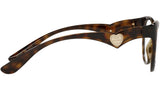 DG 5069 502 tortoise