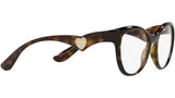 DG 5069 502 tortoise