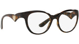 DG 5069 502 tortoise