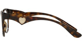 DG 5069 502 tortoise