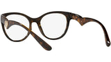 DG 5069 502 tortoise