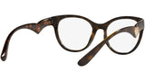 DG 5069 502 tortoise
