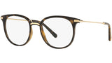 DG 5071 502 tortoise