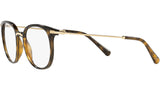 DG 5071 502 tortoise