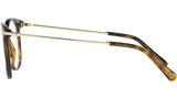 DG 5071 502 tortoise
