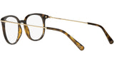DG 5071 502 tortoise
