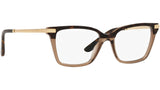 DG 3345 3256 tortoise
