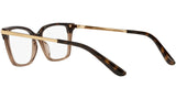 DG 3345 3256 tortoise