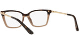 DG 3345 3256 tortoise