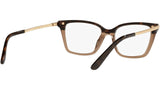 DG 3345 3256 tortoise