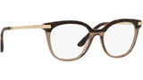 DG 3346 3256 tortoise