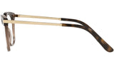 DG 3346 3256 tortoise