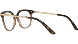 DG 3346 3256 tortoise