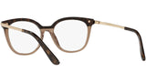 DG 3346 3256 tortoise