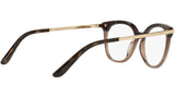 DG 3346 3256 tortoise