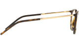 DG 5074 502 tortoise