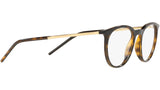 DG 5074 502 tortoise