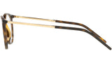 DG 5074 502 tortoise