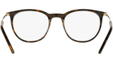 DG 5074 502 tortoise