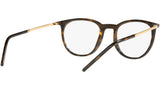 DG 5074 502 tortoise