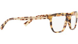 DG 3338 512 tortoise