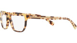 DG 3338 512 tortoise