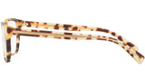 DG 3338 512 tortoise
