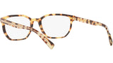 DG 3338 512 tortoise