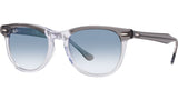 Eagleeye RB2398 13553F grey