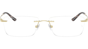 RB8781D Optics 1251