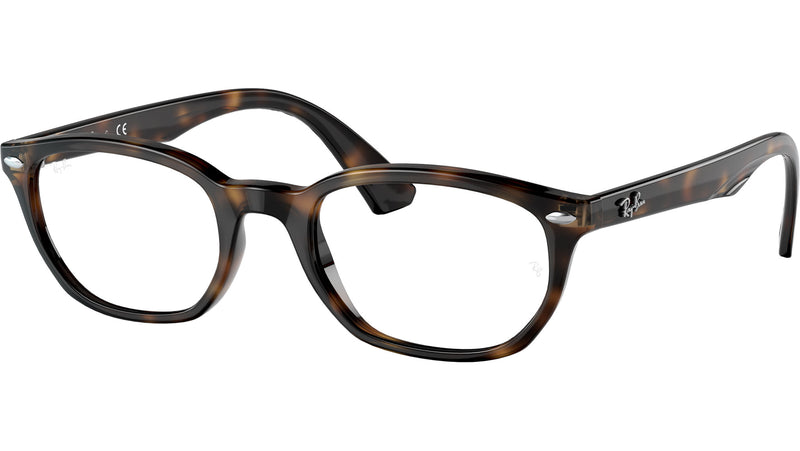 RY1599 3685 Tortoise