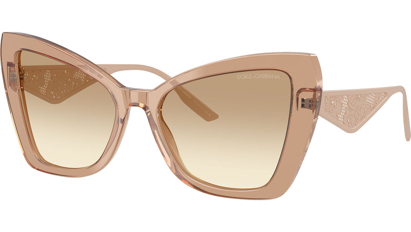 DG 4489 343213 Camel