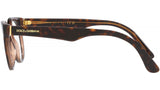 DG 3361 3256 tortoise
