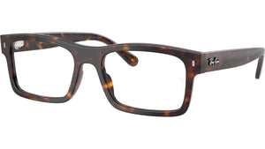RB5435 Optics 2012