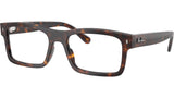 RB5435 Optics 2012