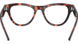 RB5510 Optics 8118