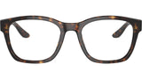 AR 7229 5879 Tortoise