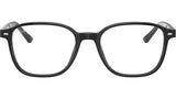 Leonard Optics RB5393 2000