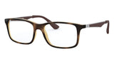 RY1570 3685 Tortoise