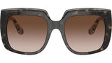 DG 4414 321713 Havana White Brown