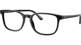 RB5418 Optics 2000