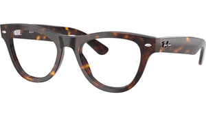RB5510 Optics 2012