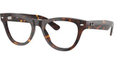 RB5510 Optics 2012