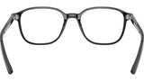 Leonard Optics RB5393 2000